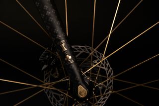 Detail of Colango Gioiello fork and wheel with gold spokes