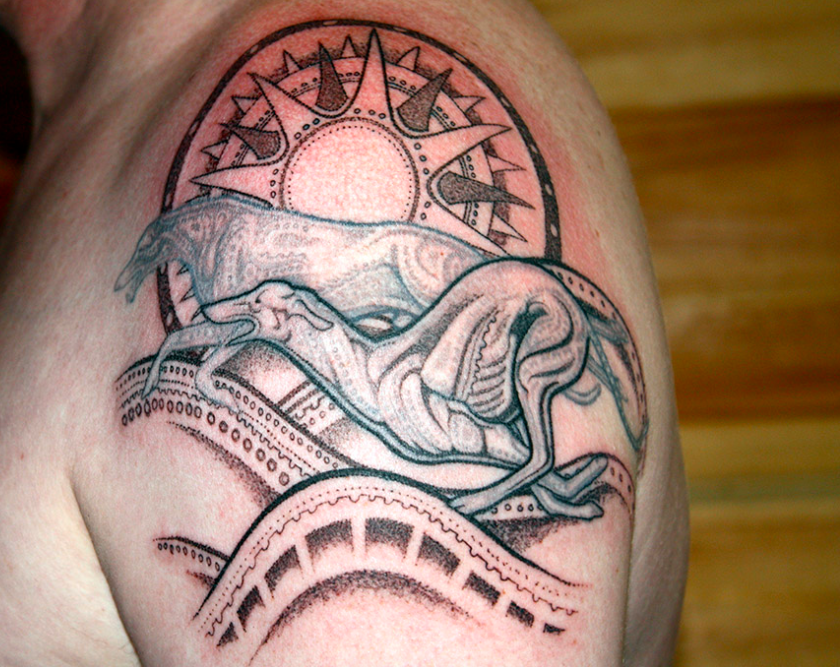 Greyhounds tattoo