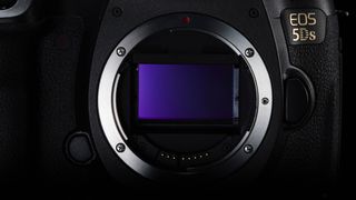 Canon EOS 5DS sensor