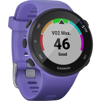 Garmin Forerunner 45S GPS Running Watch (Iris/39mm) | Was: $199 | Now: $149 | Save $50 at B&amp;H Photo