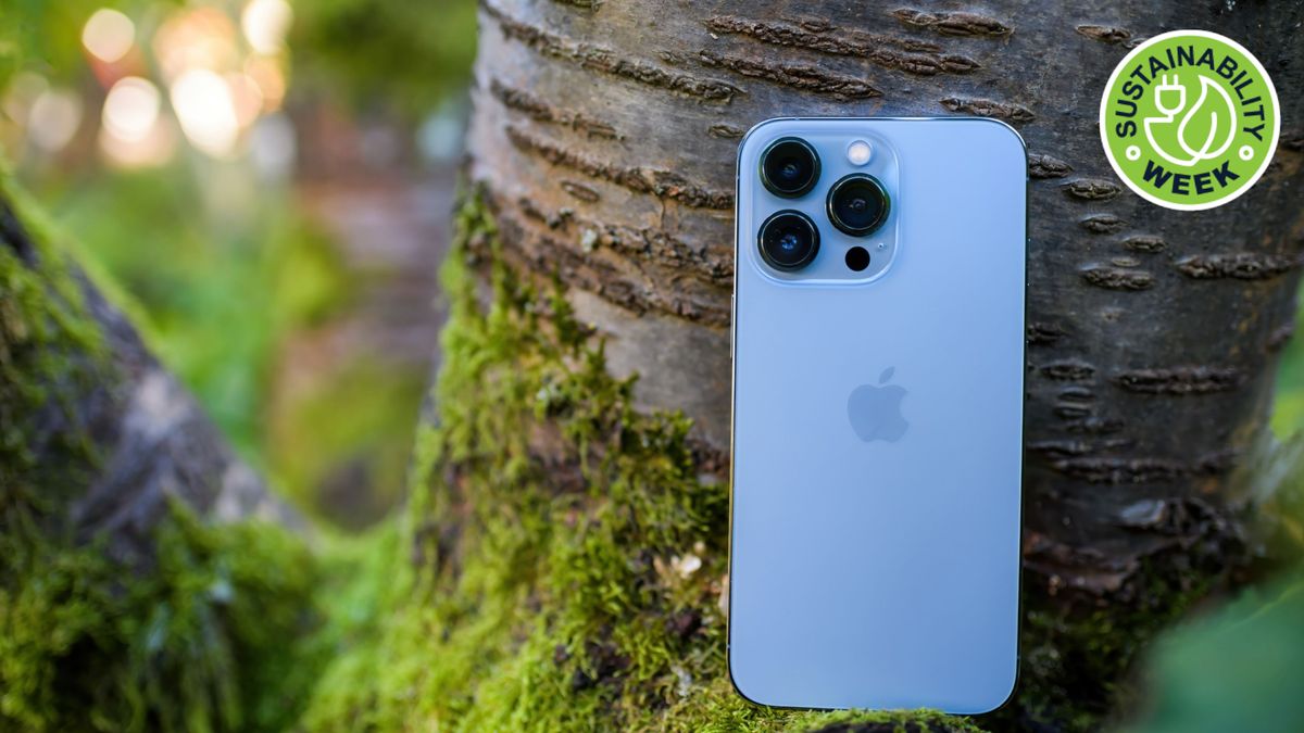 iPhone in tree