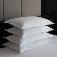 Equinox Hotels Pillow Bundle: from $243 at Equinox Hotels Sleep Shop