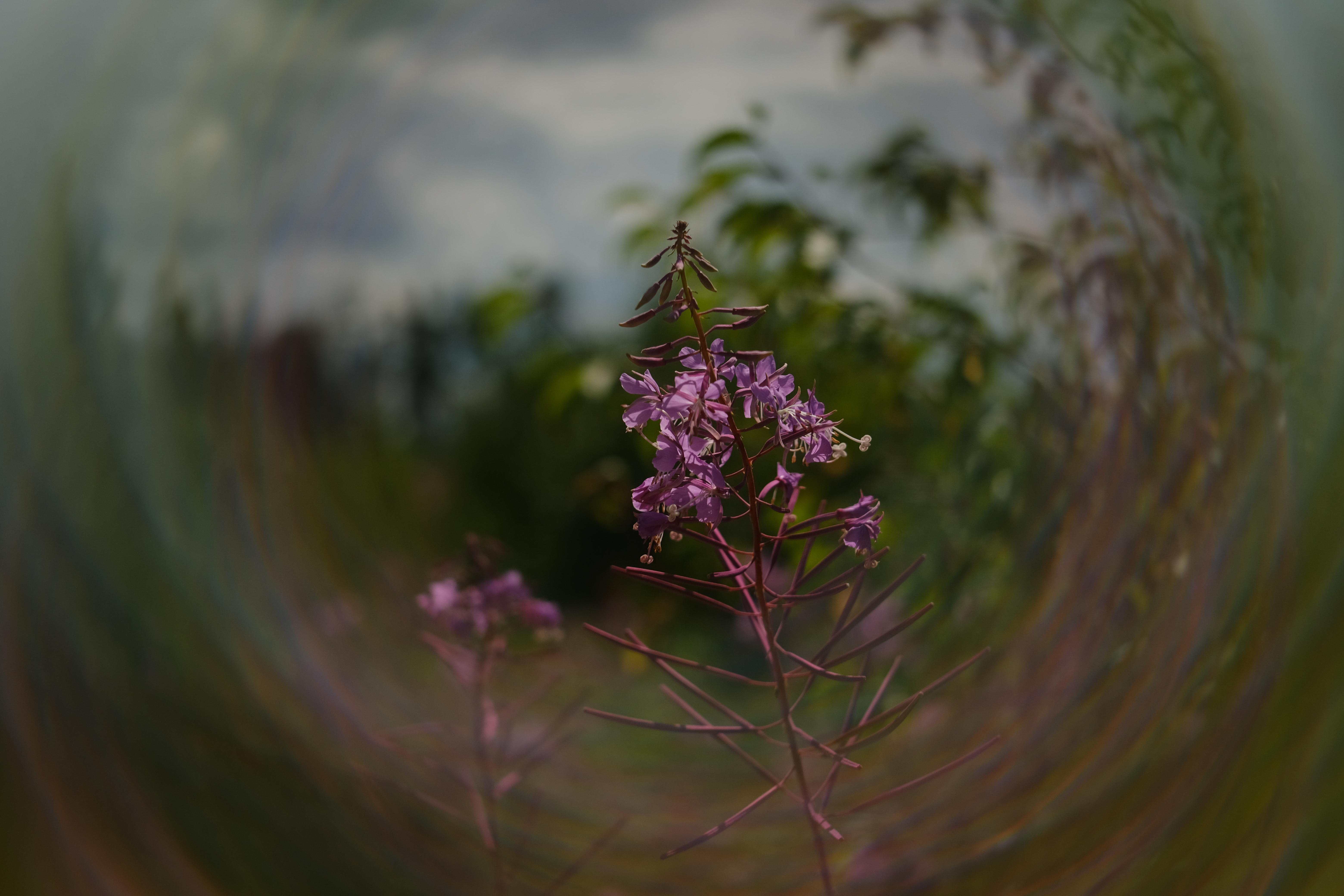 A sample image taken with the PolarPro Warp filter
