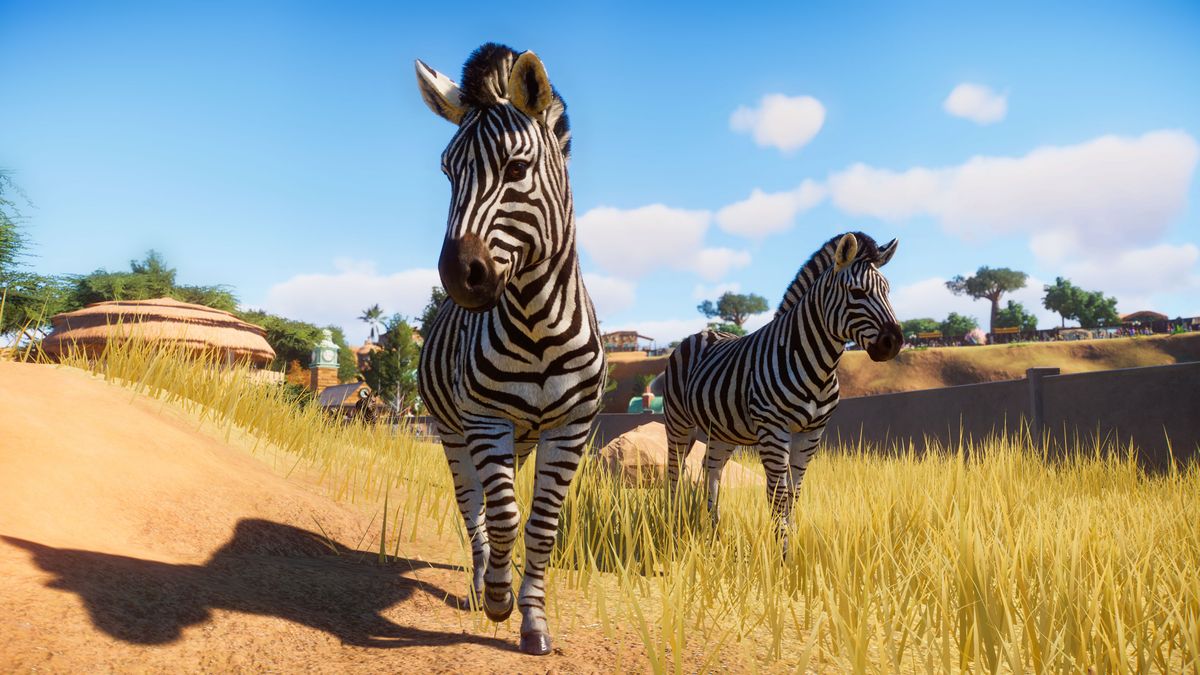 Planet Zoo is a tycoon game striving for perfect animal realism