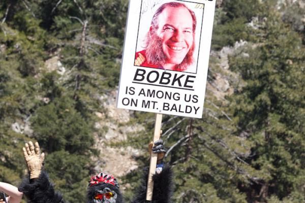 Bobke among us.
