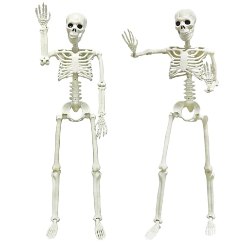 Camirus 2pack 36&quot; Skeleton Halloween Decorations, 3ft Life Full Size Skeleton With Realistic Posable Movable Joints for Halloween Haunted Houses, Lawn, Graveyard