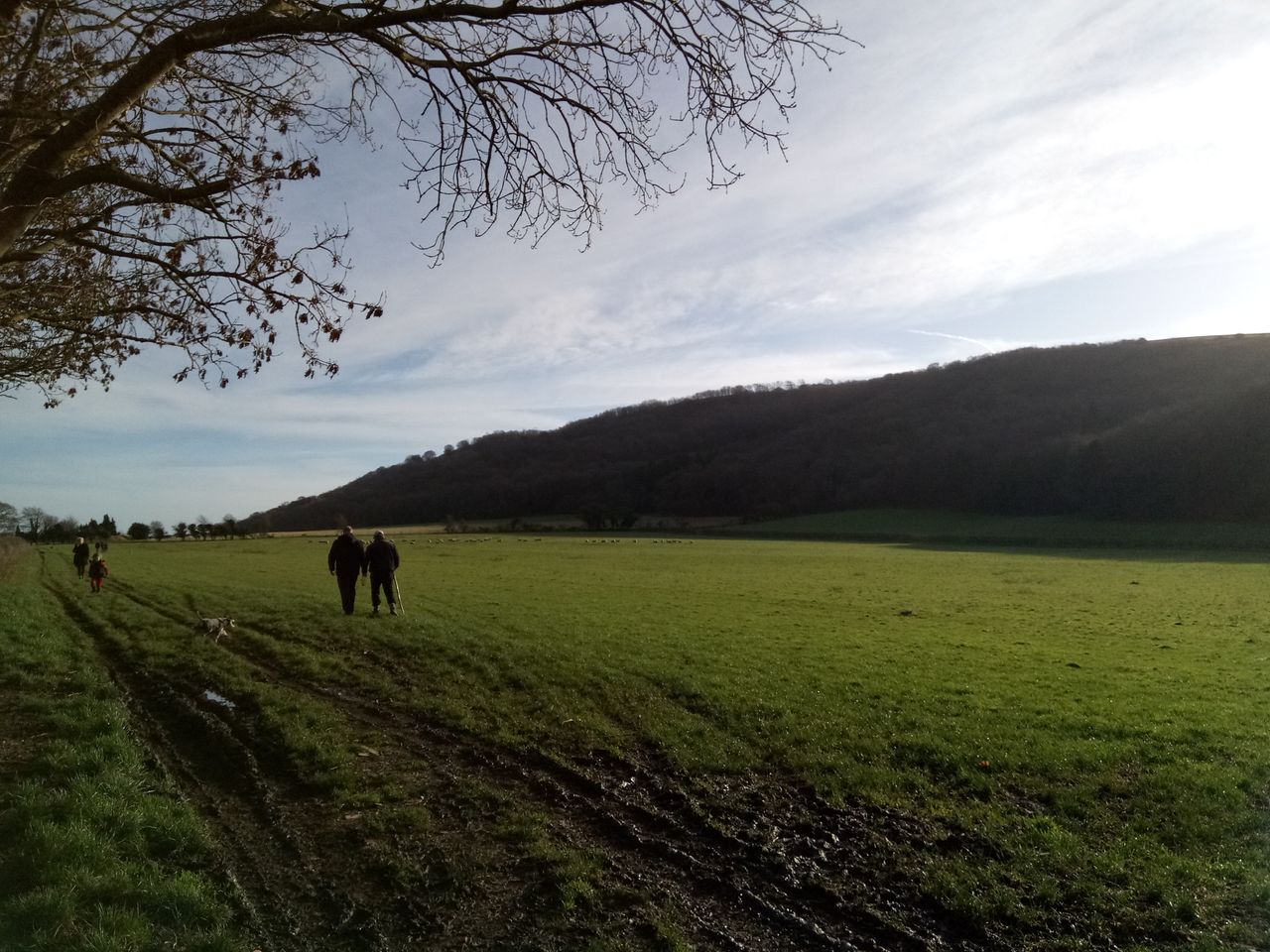 You can see the limits of the image quality here, with noise on the left side of the sky and general softness to the edges of the hill in the background