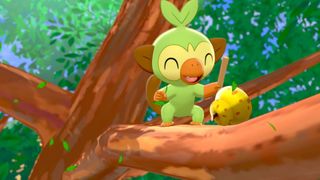 Poké Jobs Will Put Your Pokémon Sword And Shield Starters To