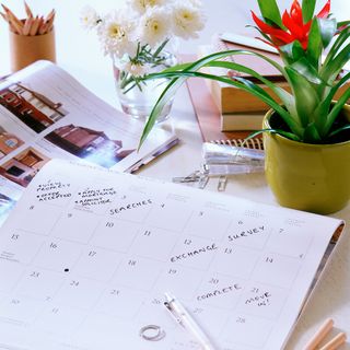 memo calendar with flower pots and books