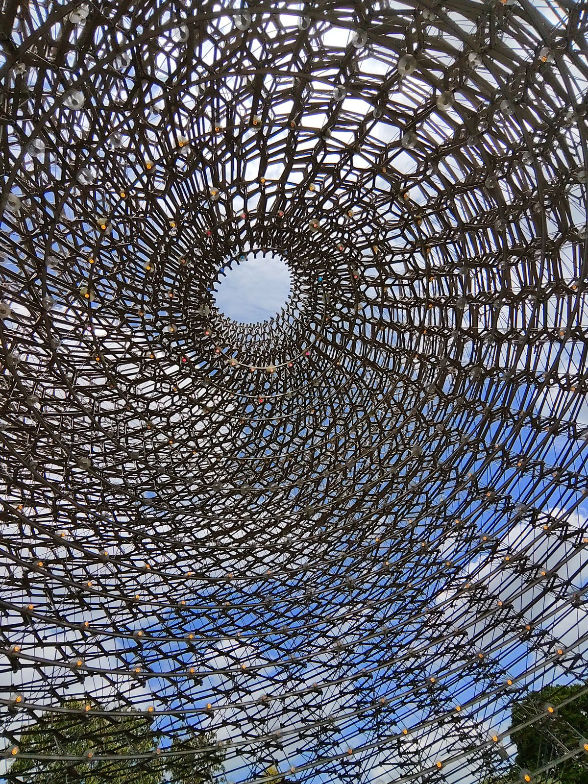 Sample image taken at Kew Gardens using the Rokid AI Glasses Style