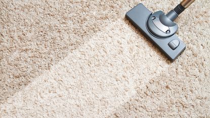 Vacuuming beige carpet