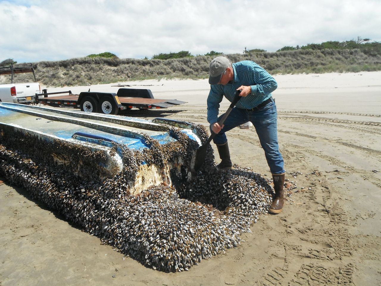 researcher John Chapman inspecting a Japanese vessel which washed ashore on Long Beach, Washington.