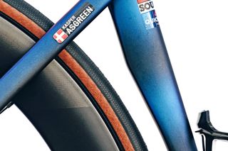 Image shows detail of unreleased Specialized race tire