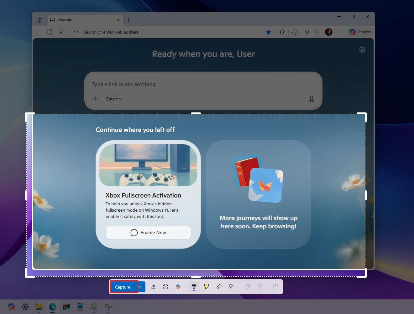 Snipping Tool capture option