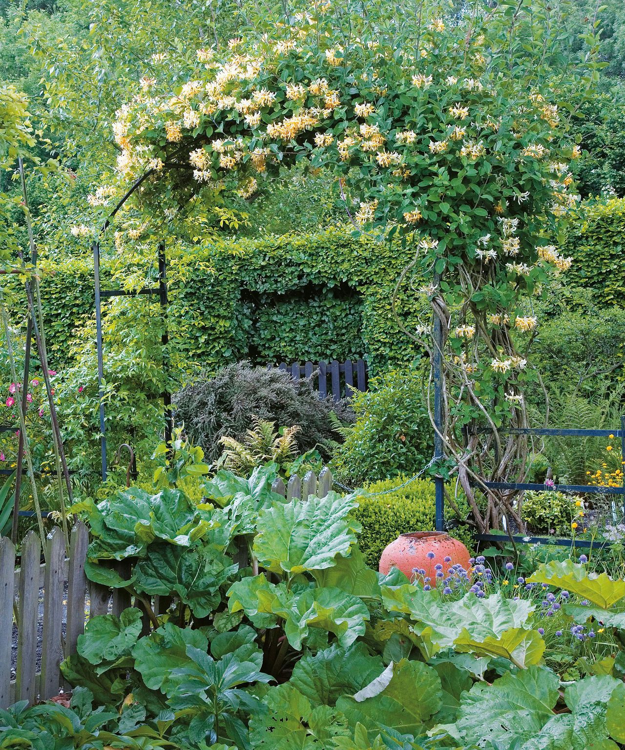 Best climbing plants for arches 10 easy ideas for your garden