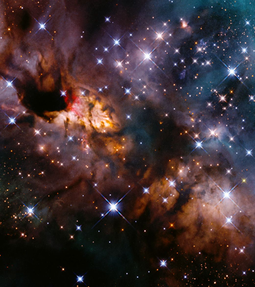 Hubble telescope captures stunning image of the star-forming Prawn Nebula - Space.com