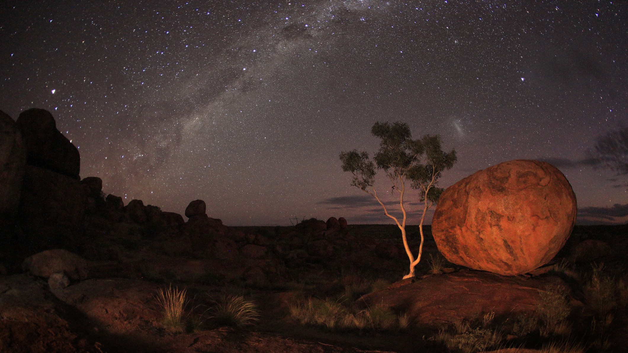 night time scene with the milky way stretching up in the background against a sea of stars there is a tree and a large boulder in the foreground of the image.