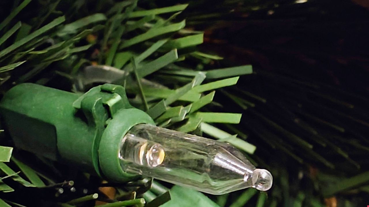 Govee Christmas String Lights