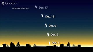 This NASA graphic shows the possible location of Comet ISON in the December night sky if the comet has survived its close sun encounter enough to be visible to the naked eye.