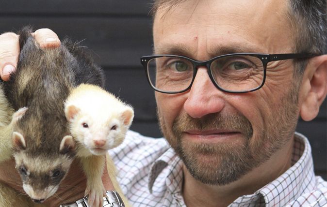 Pakefield Ferrets at the Field &amp; Country Fair