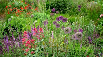 A spring flower border rich in blooms and color