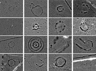 Magnetic data images of newly discovered monuments around Stonehenge.