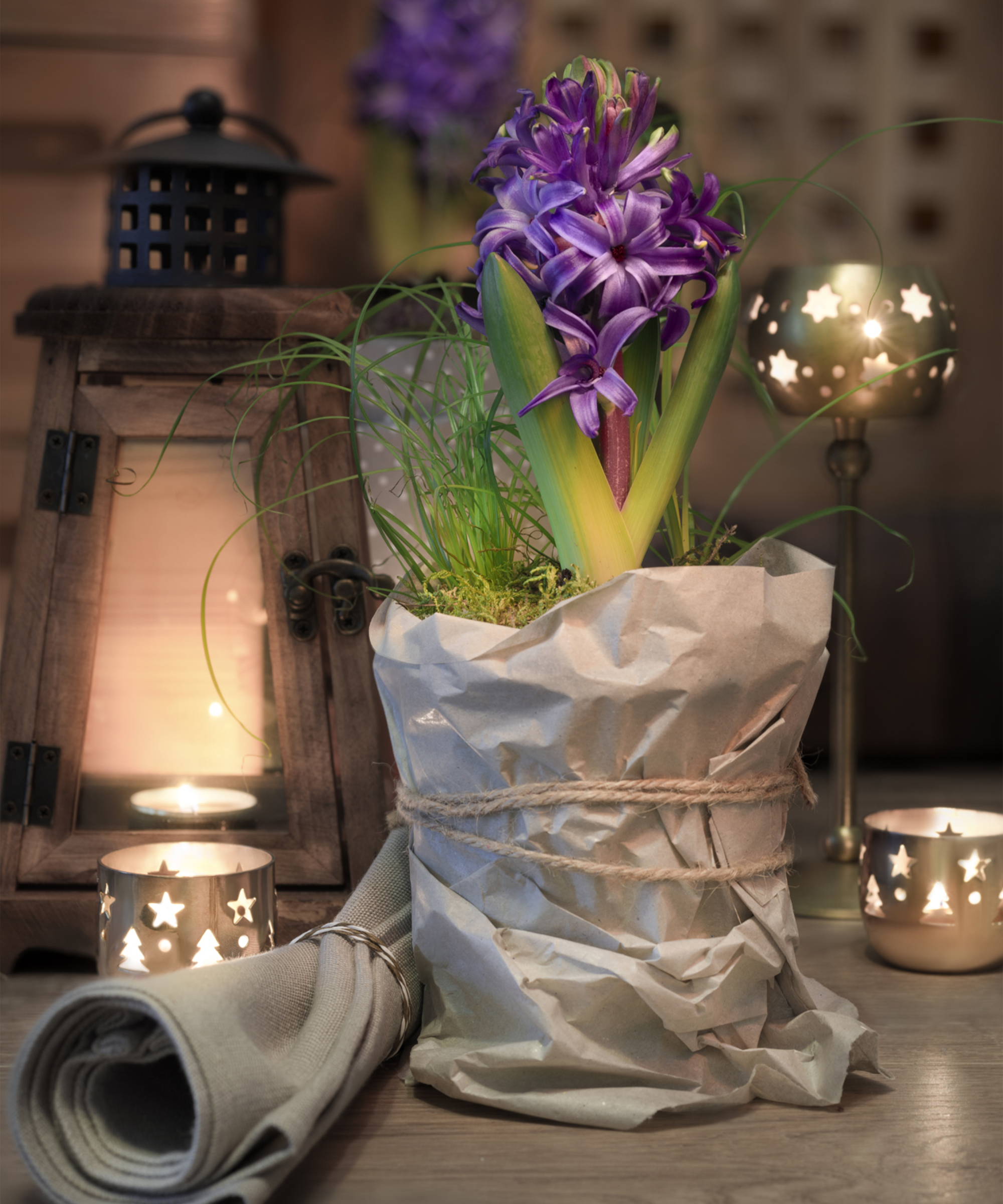 Delicate purple hyacinth on vintage kitchen lit with candles