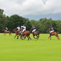 Polo game and lunch at Taunton Vale Polo Club – £150 Polo game and lunch at Taunton Vale Polo Club – £150