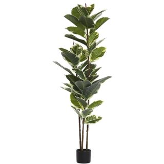 Floworld Artificial Rubber Tree Plant 5ft Tall Faux Ficus Tree Potted Fake Tropical Plants Decorative House Plants Large Floor Plants Artificial Trees for Home Office Store Room Decor