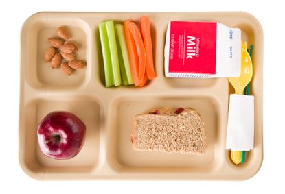 picture of healthy school lunch on a tray