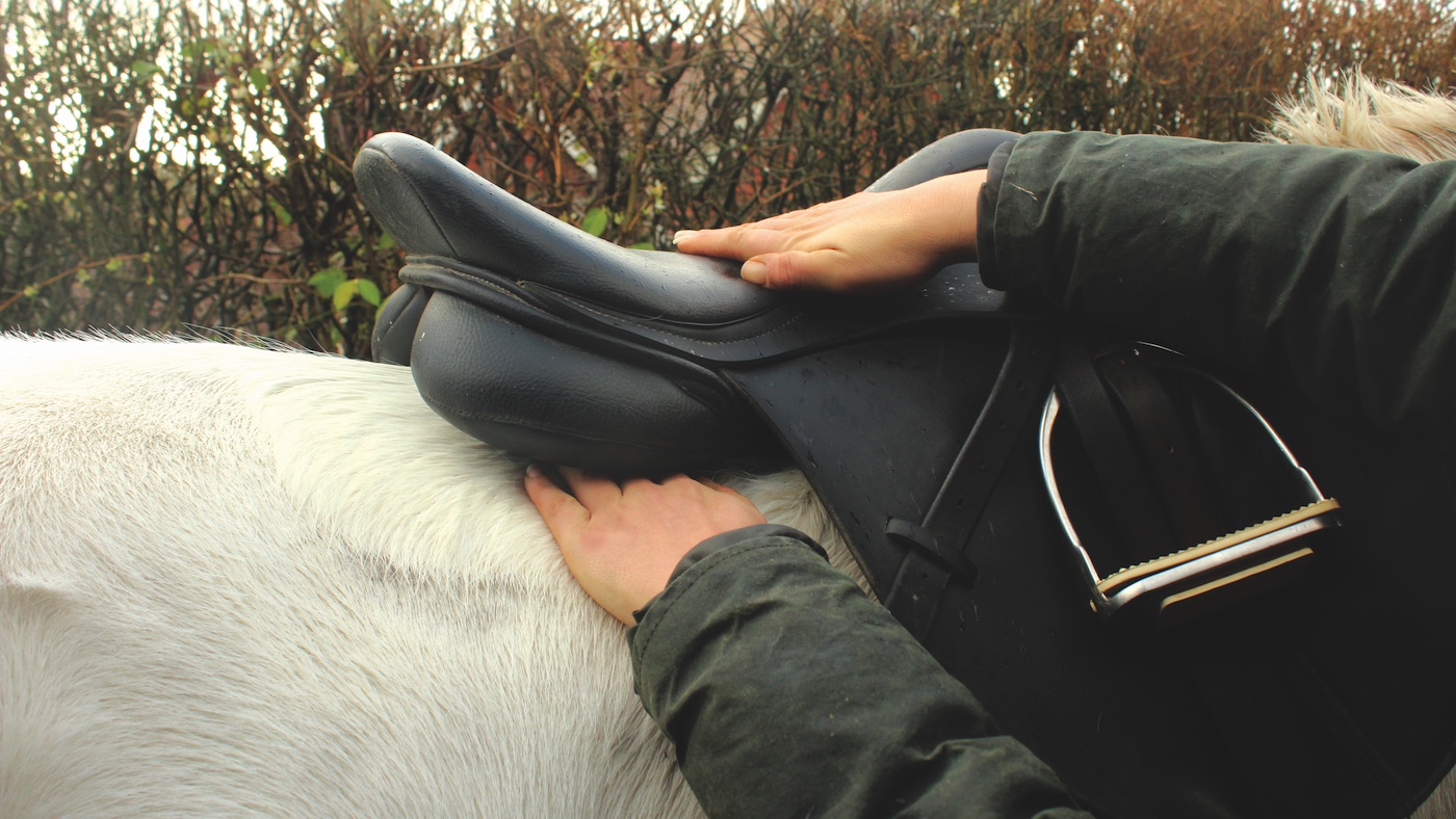 Saddle fitting