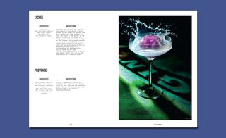 Open book spread, recipe and image, blue background