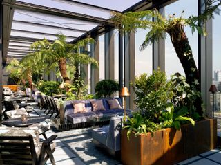 View of the glass covered terrace at White City House featuring blue and black seating with cushions, rugs, floor lamps, trees and green plants in a large brown rectangle planter