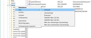 Screenshot des Registrierungs-Editors von Windows 10