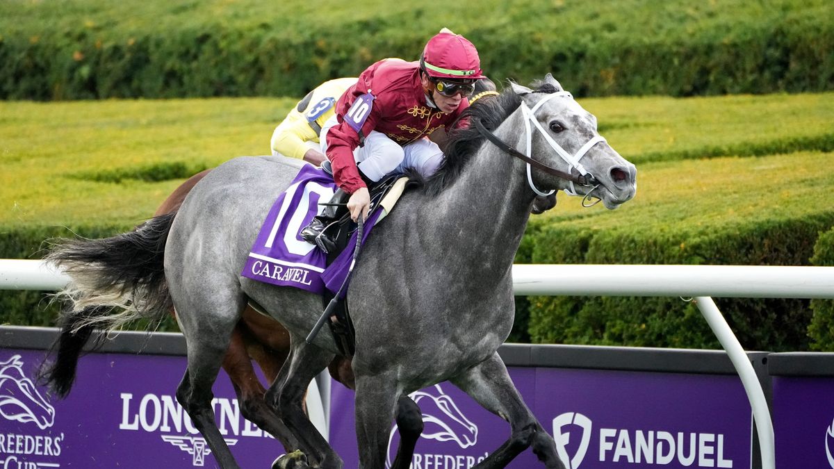 Breeders' Cup live stream 2023 how to watch for FREE online from
