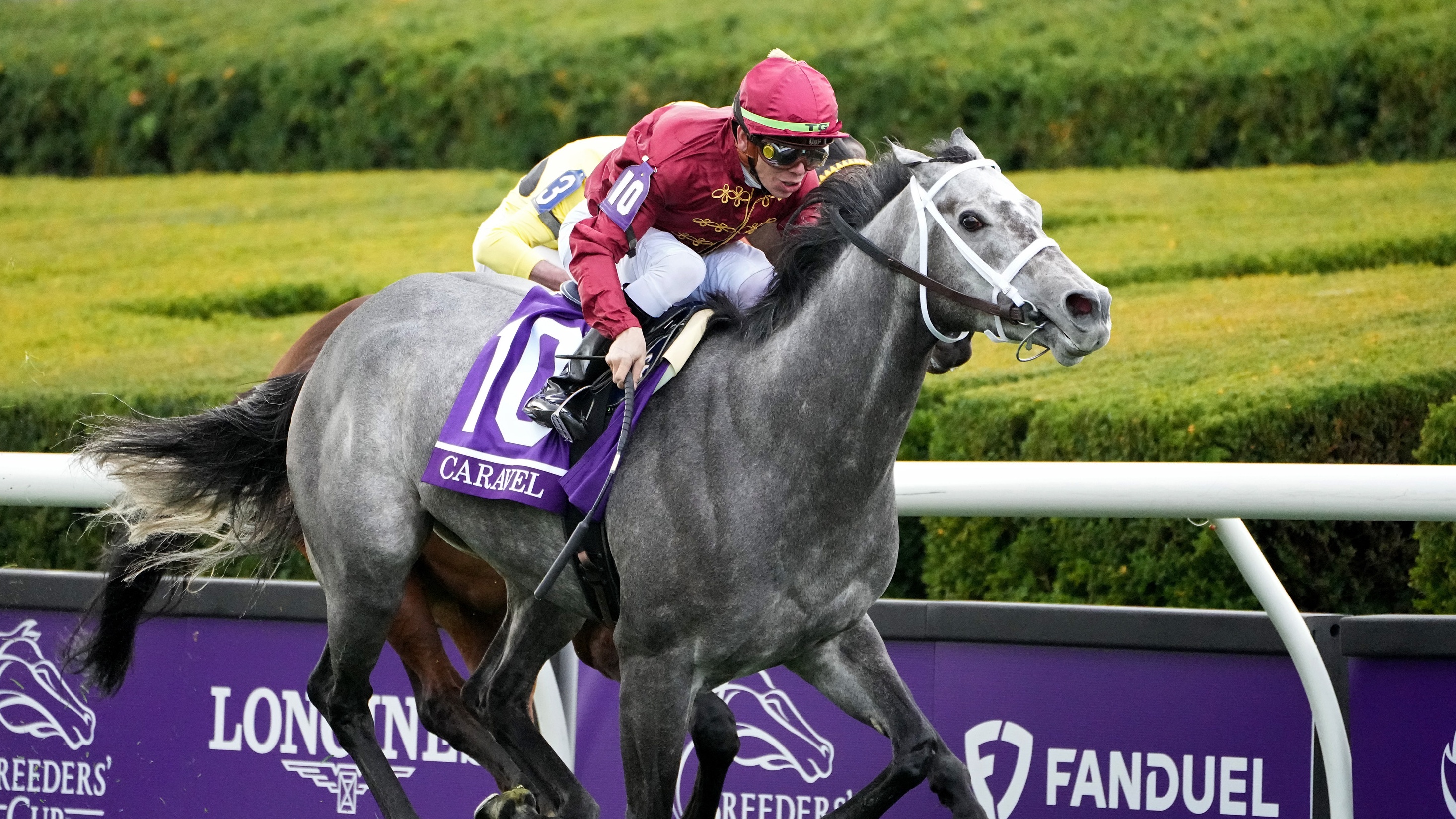 Breeders' Cup live stream 2023: how to watch for FREE online from ...