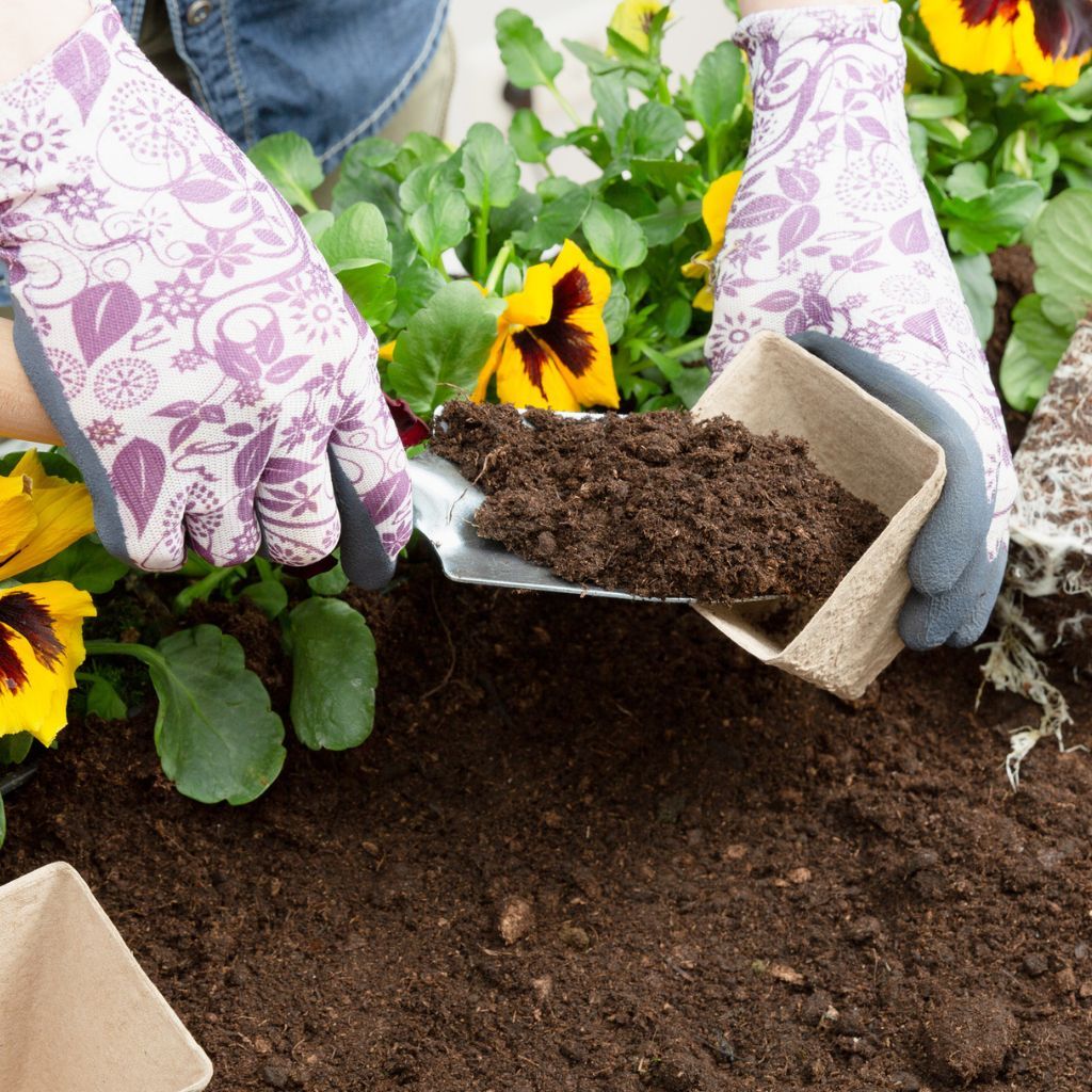Fall Vs. Spring Planting Pros And Cons | Gardening Know How