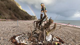 Seaton to Beer Head and Branscombe Beach: the driftwood Memory Tree