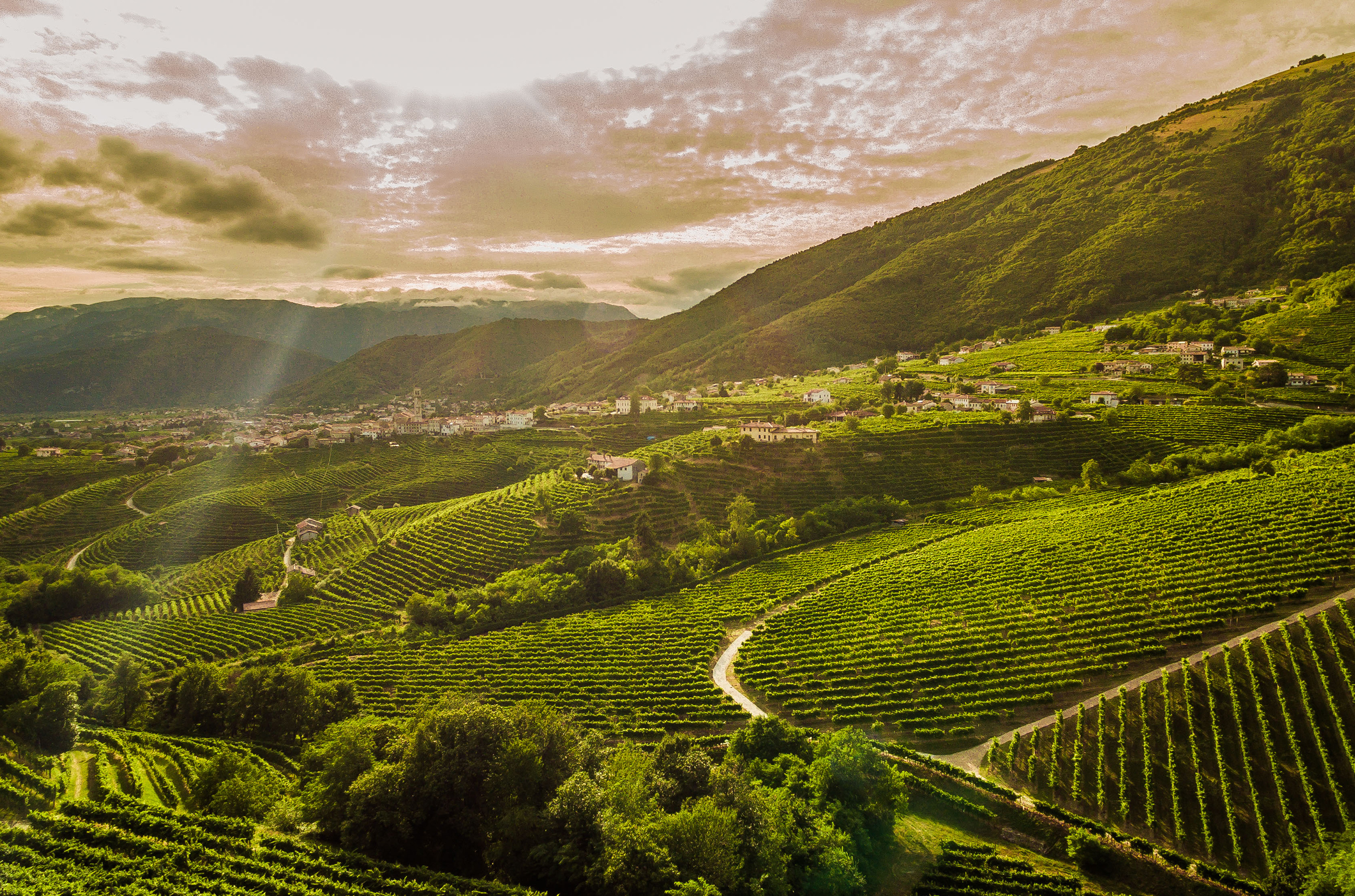 Hills of Valdobbiadene, with vines on the slopes and sun shining through the clouds