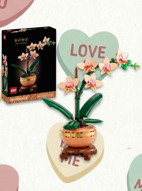 Botanicals Mini Orchid