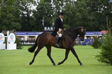 Horse-No158_RIHS_PN17_72409-e1501497896782.jpg
