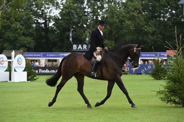 Horse-No158_RIHS_PN17_72409-e1501497896782.jpg