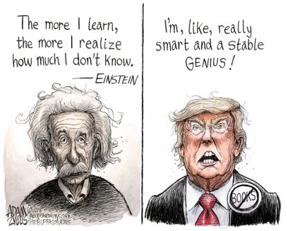 Political cartoon U.S. Trump stable genius Fire and Fury