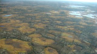 Aerial image of a permafrost peatland in Alaska's Innoko National Wildlife Refuge, interspersed with smaller areas of thermokarst wetlands.