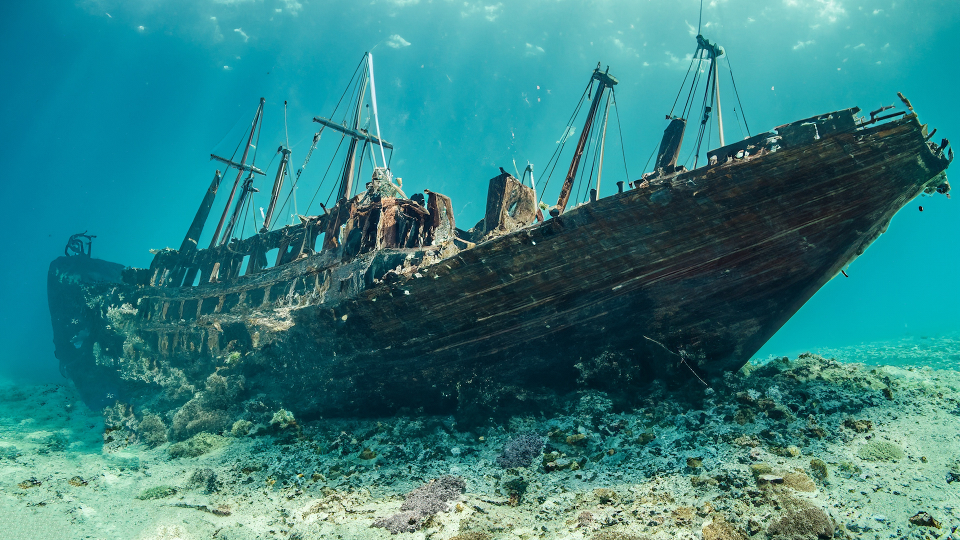 32 Haunting Shipwrecks From The Ancient World Live Science