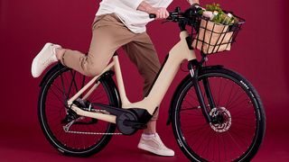 Raleigh Motus e-bike