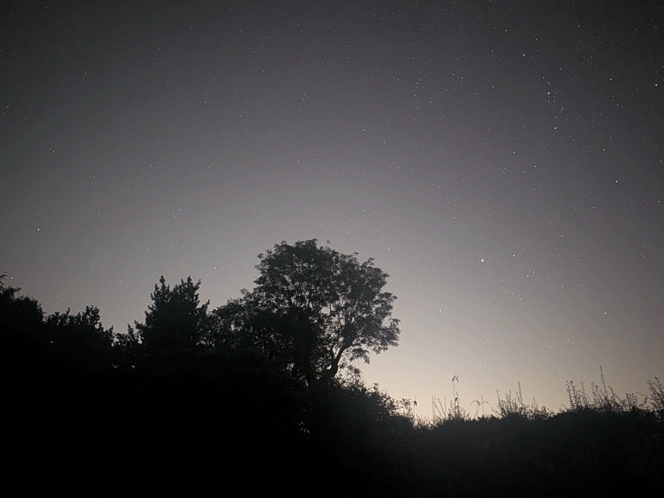 A one second sequence of meteor and plane trails flashing across the clear night sky, framed by tree silhouettes