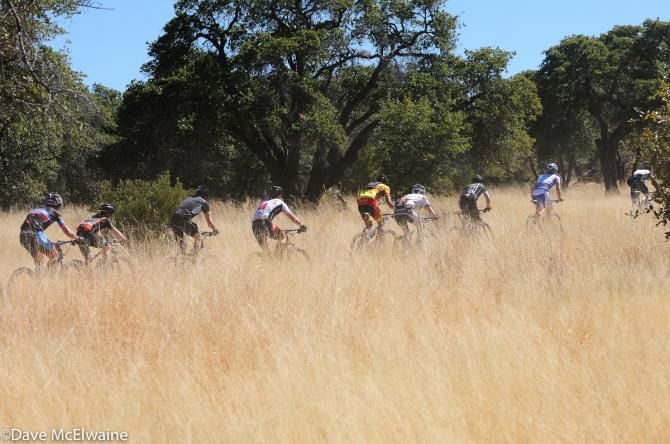 The elite men head out on course through the tall grass