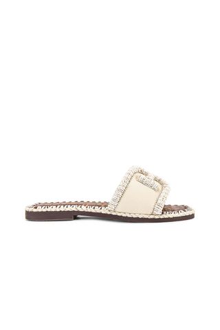 Sam Edelman fitz seashell sandal on white background