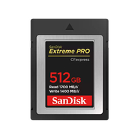 SanDisk CFexpress B Extreme Pro 516GB | was $299.00 | $199.99 
SAVE $100